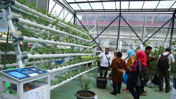 Kemnaker Dorong Tumbuhnya Pengusaha Agribisnis